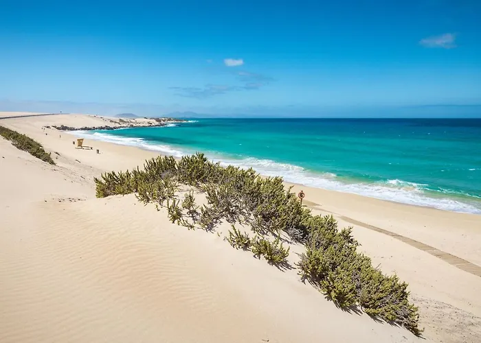 Bahiazul By Vreagestion *