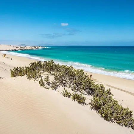 Bahiazul By Vreagestion *